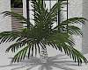 Deco Palm Tree