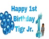 Tigr Jr 1st bday banner