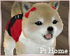 Christmas Shiba Puppy V1