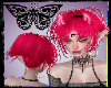 Oni Pony Hot Pink