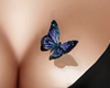 Blue Butterfly Tatoo