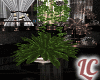 Wasted~Plant V4