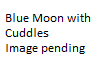 Blue Moon with cuddles