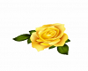 Yellow Rose Dance Marker