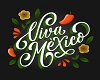 Viva México! Background