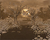 AUTUNM FOREST