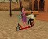 ANIM scooter