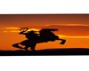 D* Cowboy Sunset Rug