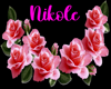 Nikole Wall Sign