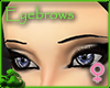 Thin Black Eyebrows