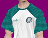 T-shirt Palmeiras 23/24