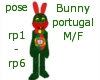 Bunny portugal