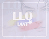 L|. Dominic Skin T1
