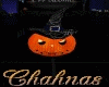 Penthouse Pumpkin Love