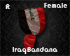 iraq bandana female