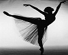 Ballet Slippers ~ Black