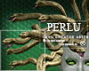 [P]Medusa Snakes Gold