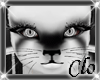 [Clo]Dlite Socks F