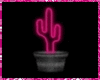 Fluro Pink Cactus