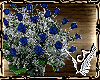 A Bouquet Of Blue Roses