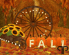 🤍P Wheel Fall