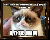 Z Grumpy Cat Frame 10