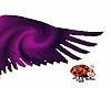Purple/Black Swirl Wings