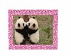 cadre panda rose