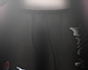 T. dragon short