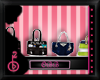 |OBB|Flash|BAG DISPLAY