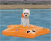 Pool Float Puppy