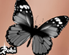 Belly Butterfly Gray
