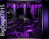 [BD] Purple Rose Club