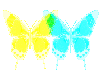 Butterfly13