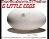 Bass Rock- 6 Little Eggs