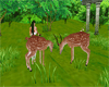 2 Animal Deers/poses