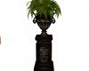 Vintage fern