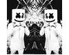 MarshMello Mashup