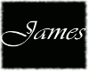 ~James Necklace~