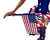 NS Hand Held USA Flag