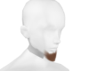 blond goatee