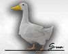 🦆 Real Duck M