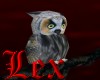 LEX - real owl