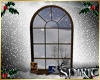 *S* Snowy Window