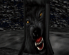 FOREST WOLF