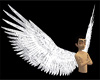 animated white wings