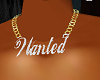 Wanted Necklace