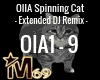 OIIA Spinning Cat Remix1