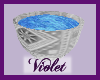 ( V)  Pet's  water bowl