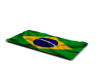 🩻 BRASIL FLAG